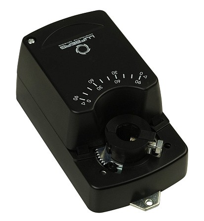 lgg7x8s9qz1tnhg0ejxj81rwa485cput