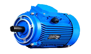 ЭЛЕКТРОДВИГАТЕЛИ ОБЩЕПРОМЫШЛЕННОГО ИСПОЛНЕНИЯ